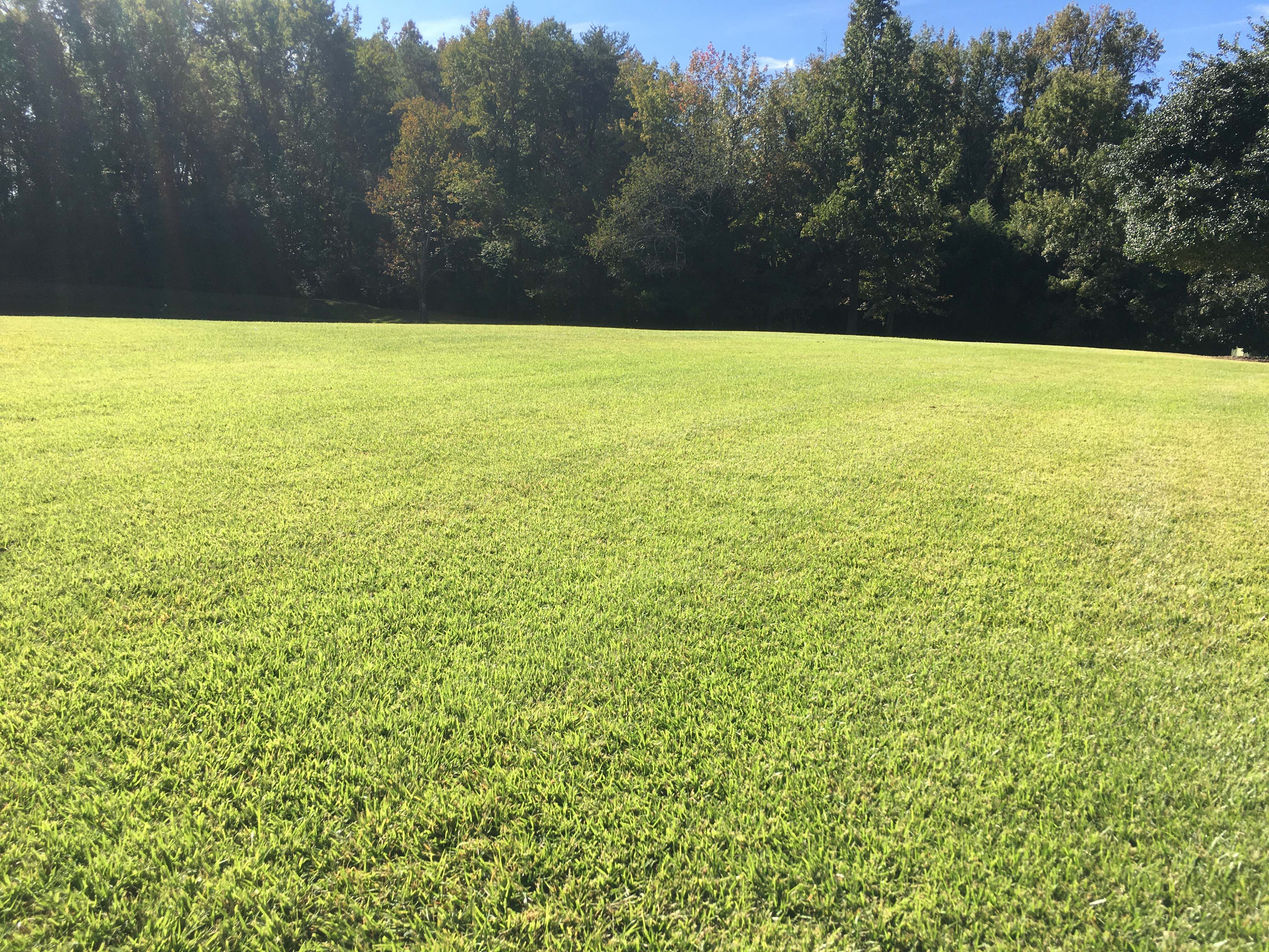 top dressing fountain inn and simpsonville sc
