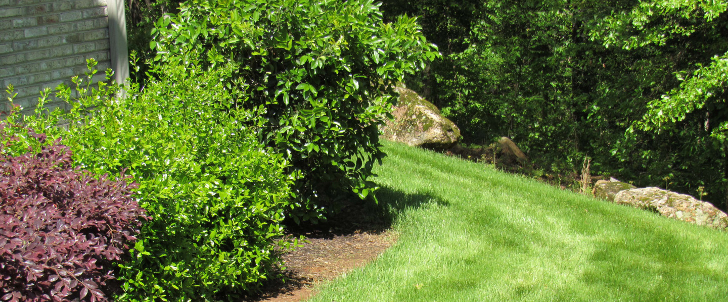 Let Our Expert Nourish Your Soil