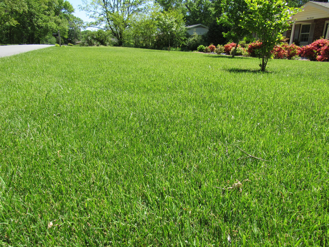 soil quality fountain inn and simpsonville sc