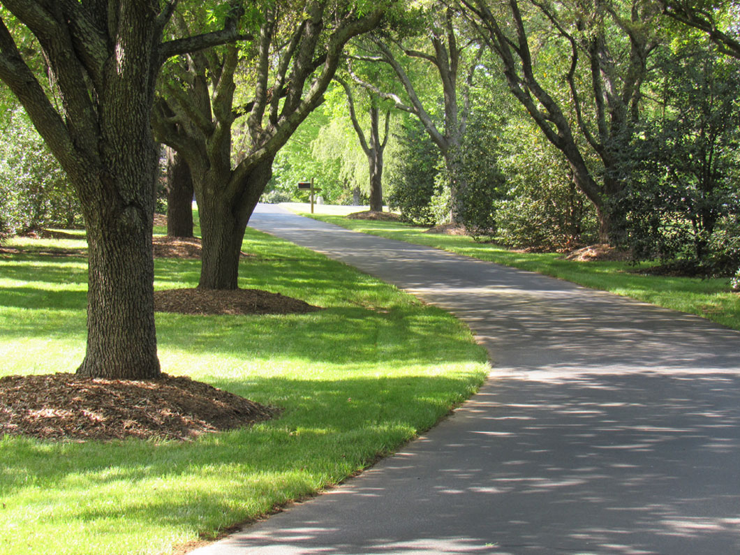tree fertilization fountain inn and simpsonville sc