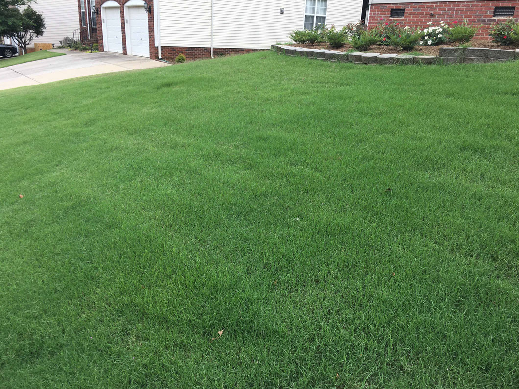 lawn fertilization fountain inn and simpsonville sc