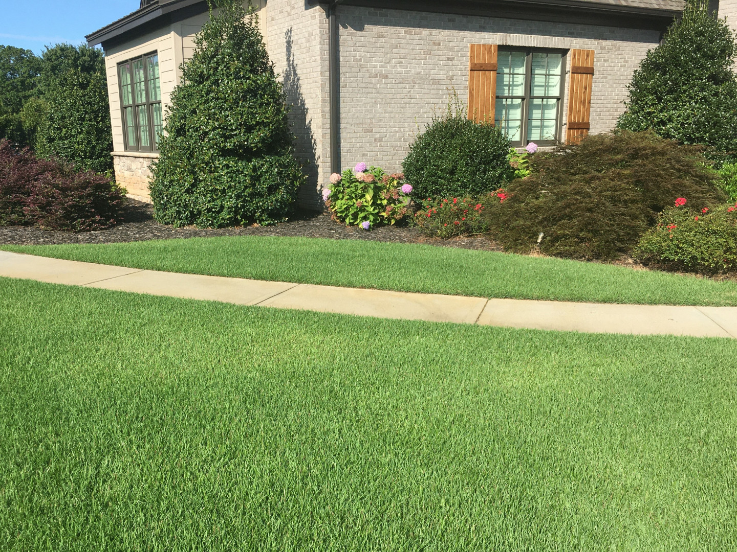 tree and shrub fertilization fountain inn and simpsonville sc